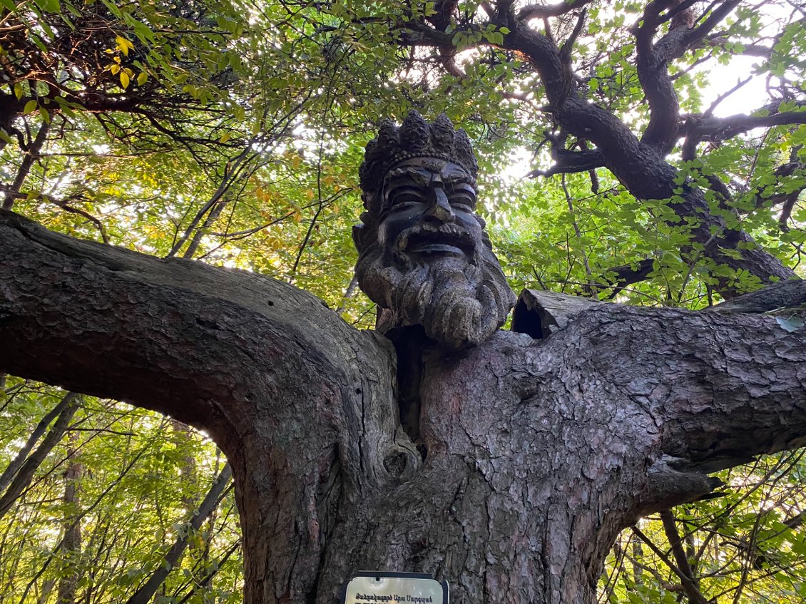 Une sculpture sympa au milieu de la forêt